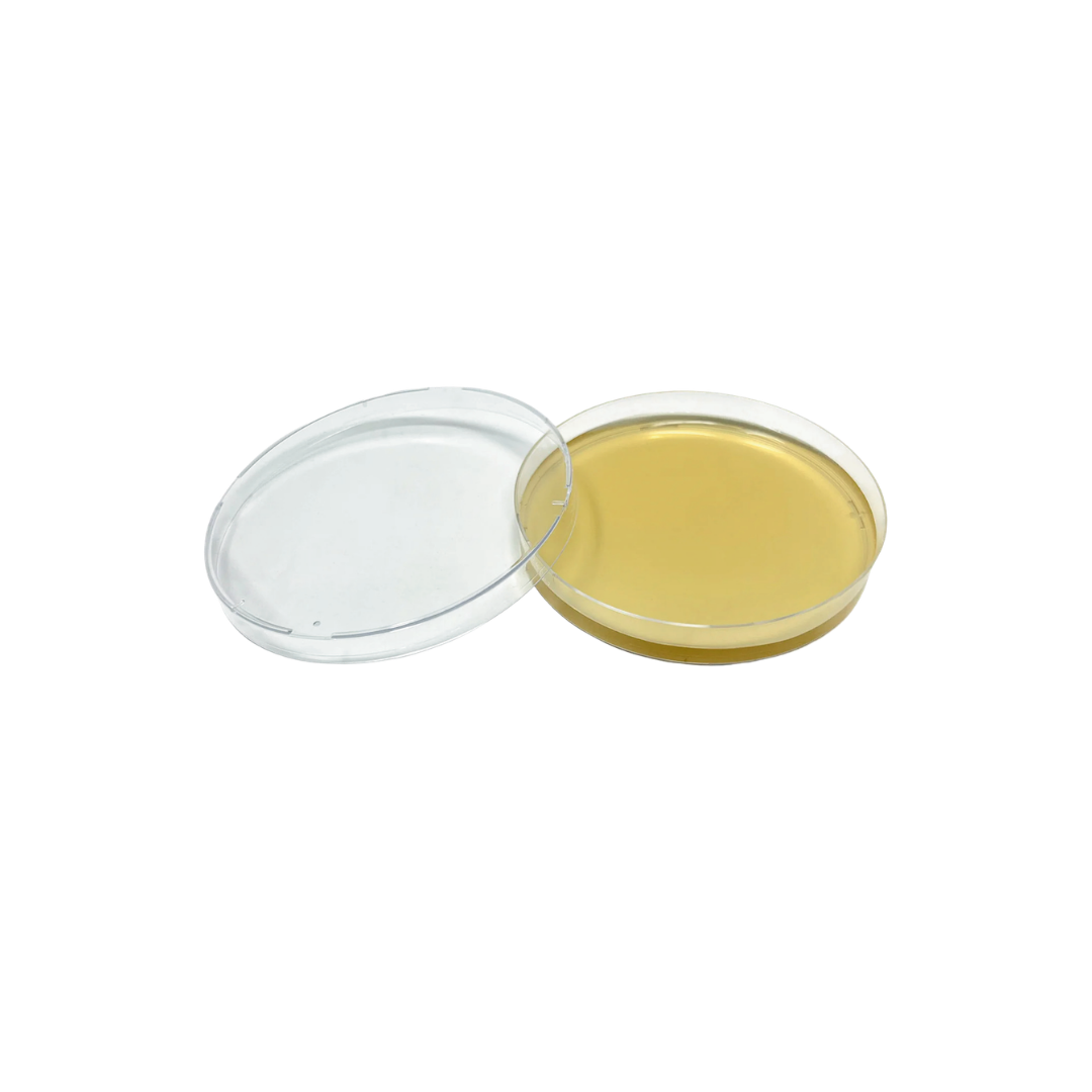 Nutrient Agar Plates