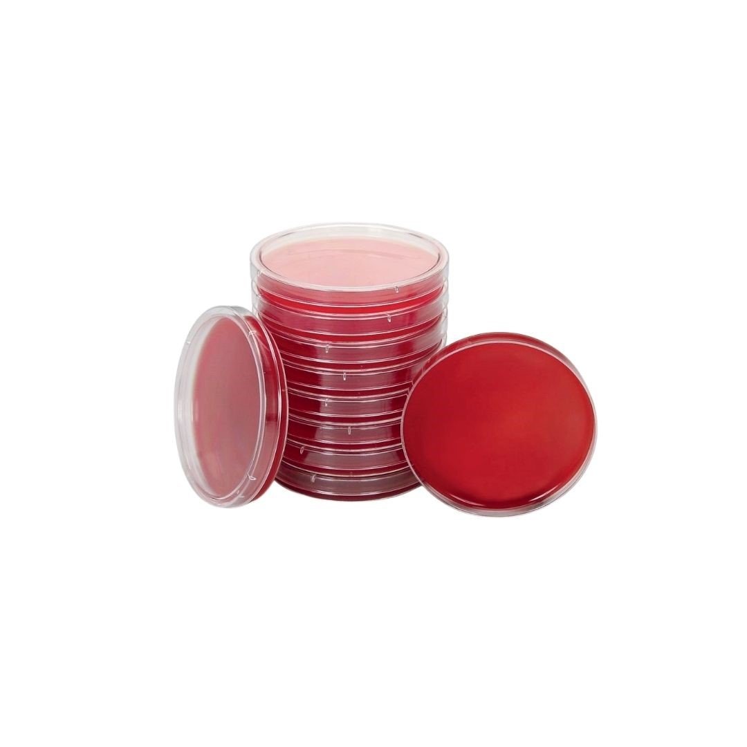 Blood Agar Plates
