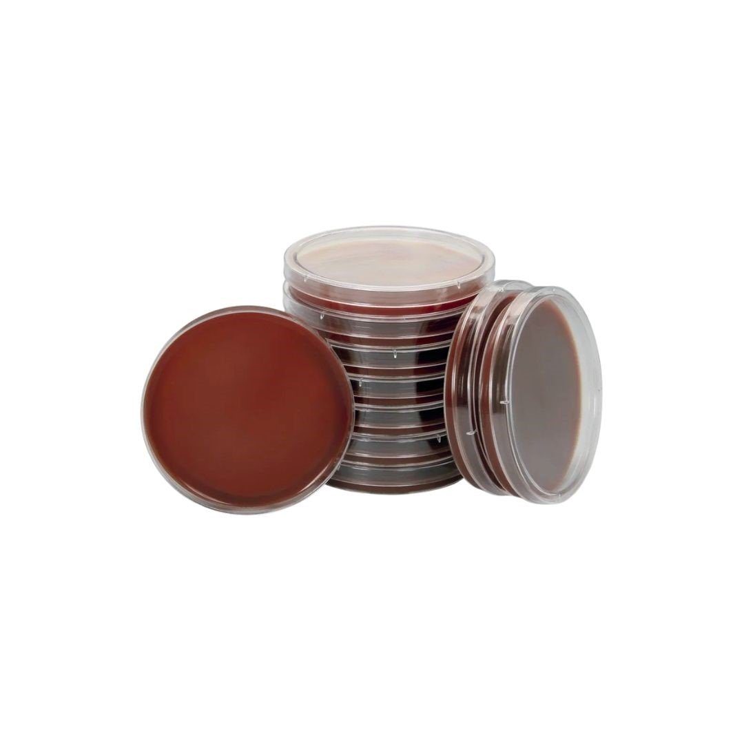 Chocolate Agar Plates