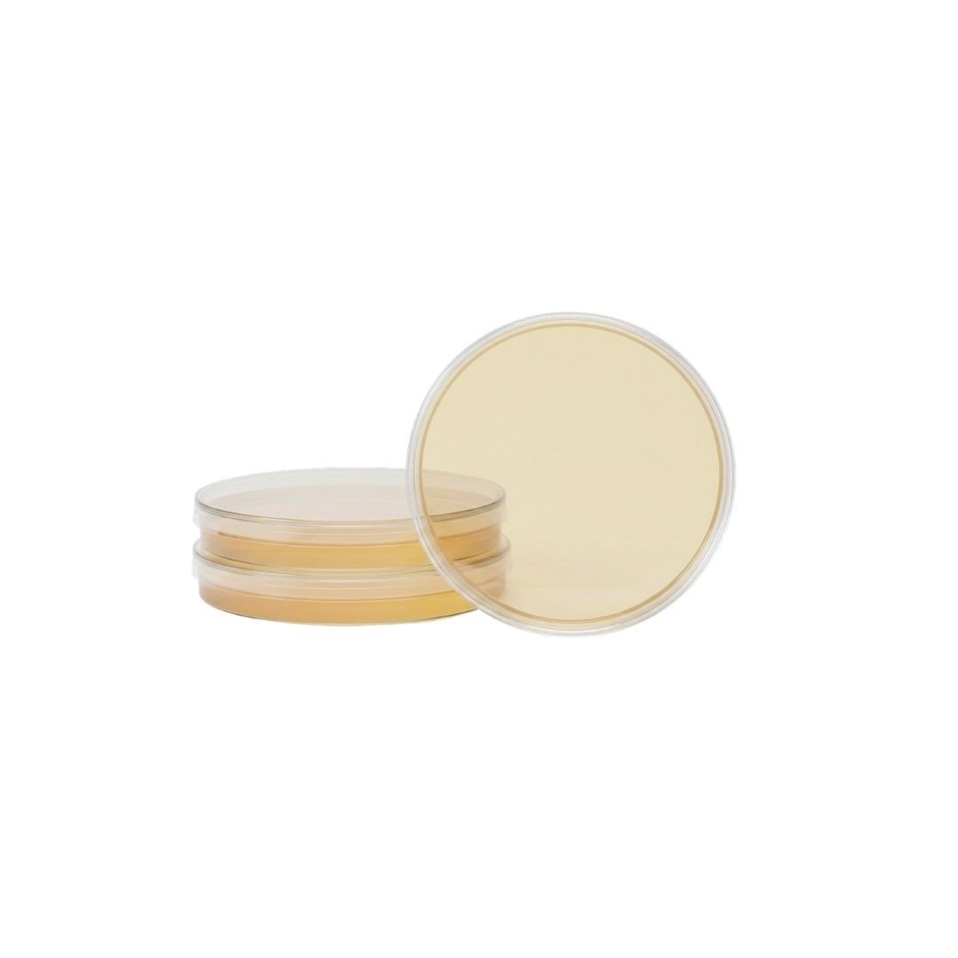 Mueller Hinton Agar Plates